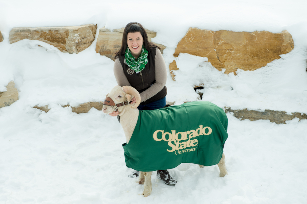 Sara Colorosa joins the Colorado State University RAM Handlers, February 6, 2016.