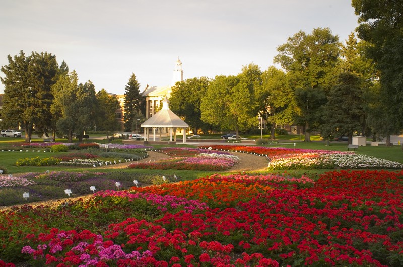 The CSU trial gardens in the golden hour.