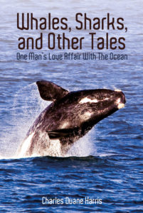 Book cover: Whales Sharks, and Other Tales
