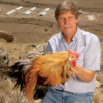 Tom Whiting holding a rooster above Whiting Farms