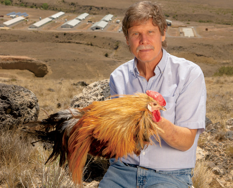 Tom Whiting holding a rooster above Whiting Farms