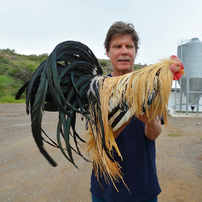 Tom Whiting with a rooster