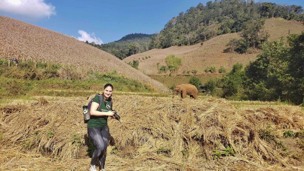 Isabella Wells standing in a field with an elephant in the background. 