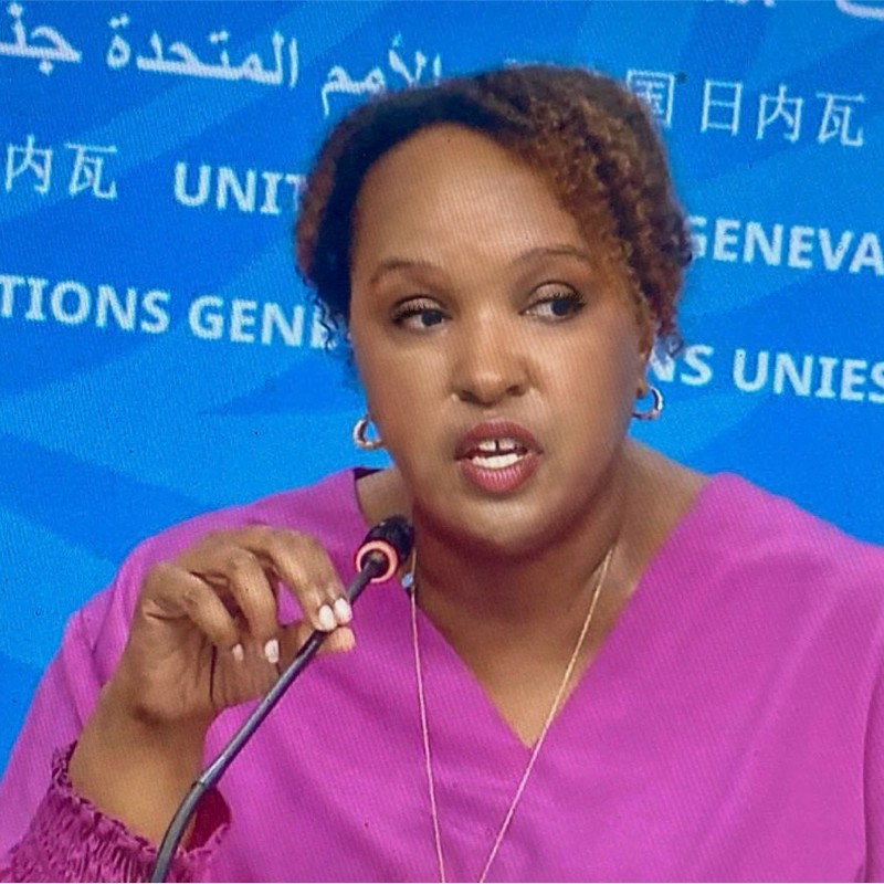 Dana Hughes speaking at a microphone at a UN event.
